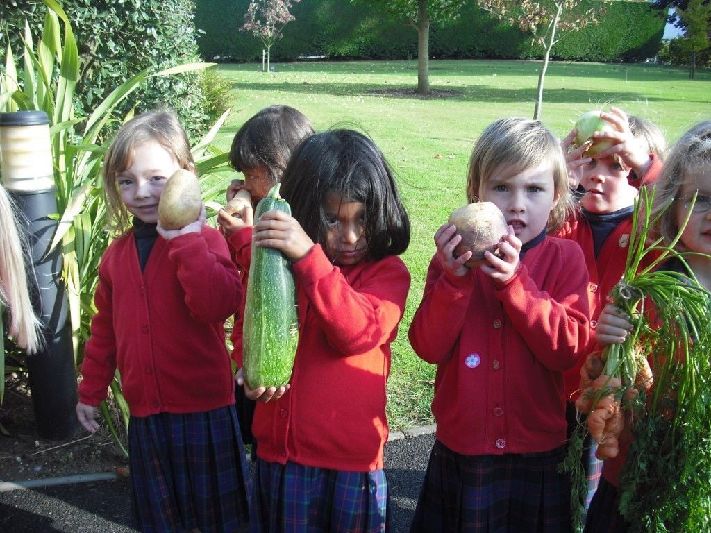 The Abbey raises money for Concern Worldwide at our Harvest Festival