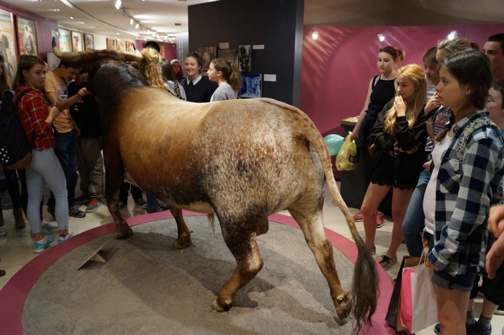 Spanish Exchange trip to Pamplona