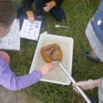 YEAR 4 DAY AT CARLTON MARSHES