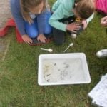 YEAR 4 DAY AT CARLTON MARSHES