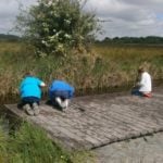 YEAR 4 DAY AT CARLTON MARSHES