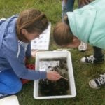 YEAR 4 DAY AT CARLTON MARSHES