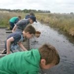 YEAR 4 DAY AT CARLTON MARSHES