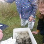 YEAR 4 DAY AT CARLTON MARSHES