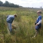 YEAR 4 DAY AT CARLTON MARSHES