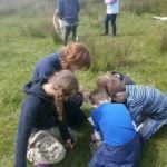 YEAR 4 DAY AT CARLTON MARSHES