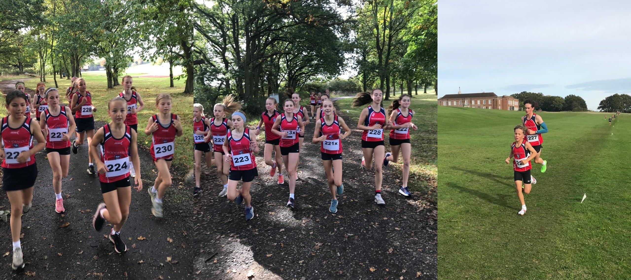 Suffolk Schools Cross Country Trials 2024 Woodbridge School