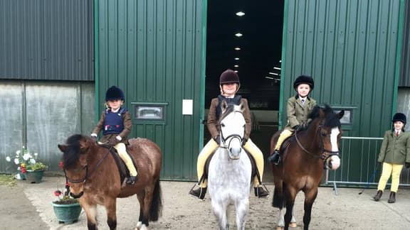Show Jumping