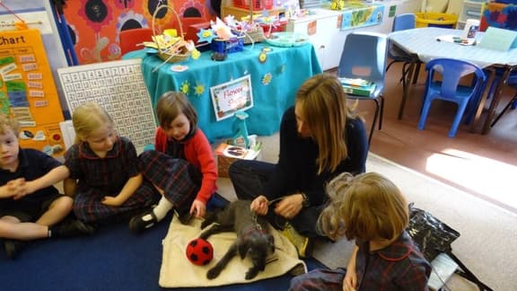 All Creatures Great and Small at Queen's House