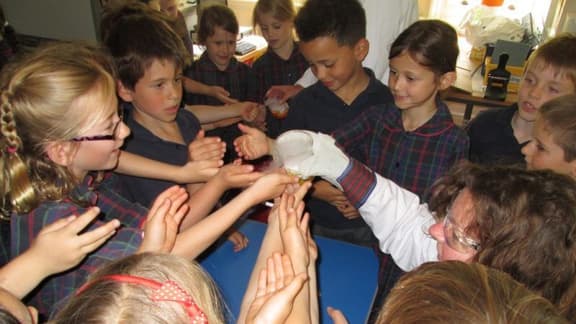 Year 2 Chemistry