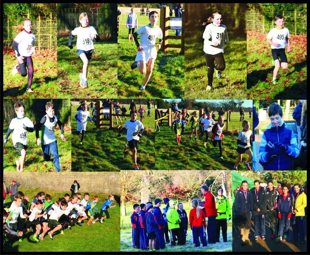 County XC Jan 2015v2